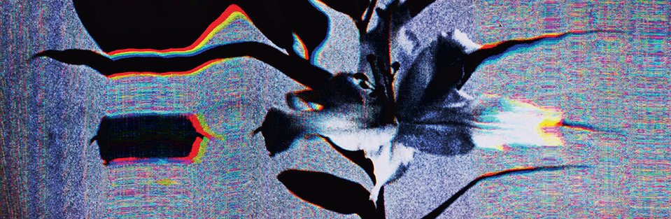 populist cover